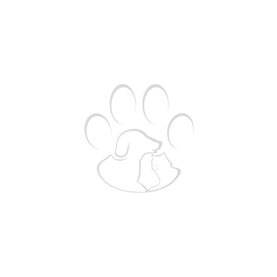 Bienestar animal: Campañas, diseño y comunicación para protectoras, asociaciones y proyectos de adopción
